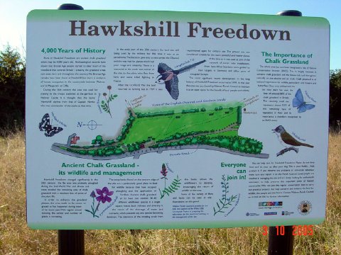 Hawks interpretation board